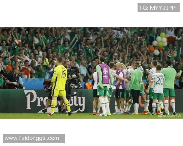 威尔士与爱尔兰精彩对决回放分析与赛后点评