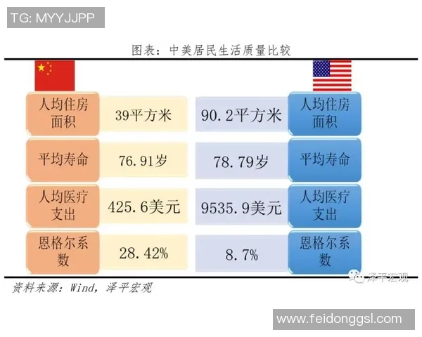 阿美恩斯与里尔实力对比谁更具竞争优势分析